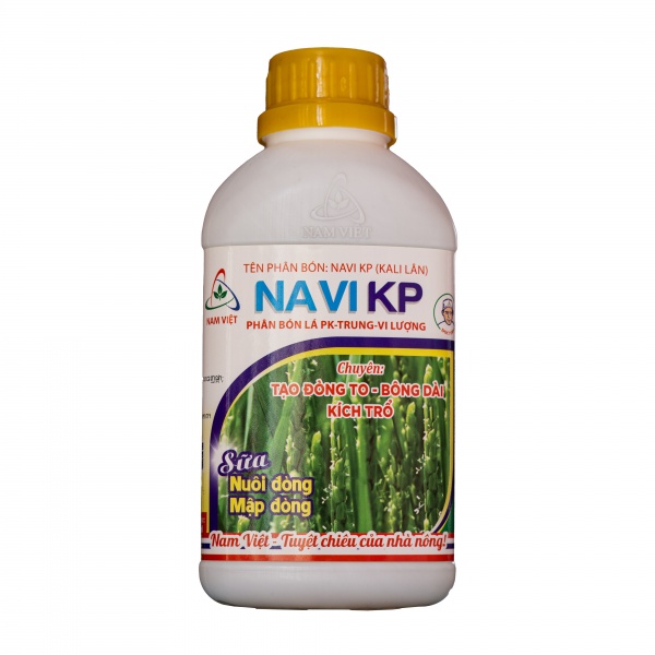NAVI KP - ĐÒNG TO